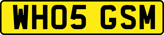 WH05GSM