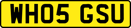 WH05GSU