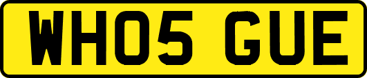 WH05GUE