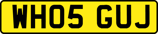 WH05GUJ