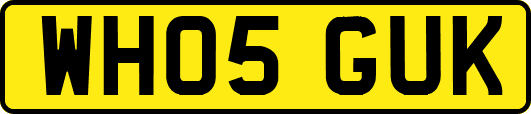 WH05GUK