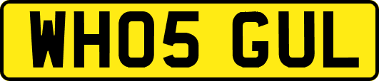 WH05GUL
