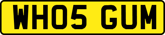 WH05GUM