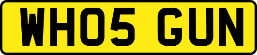 WH05GUN