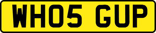 WH05GUP