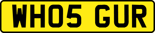 WH05GUR