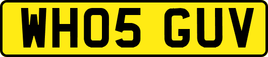 WH05GUV