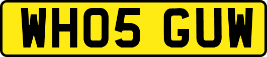 WH05GUW