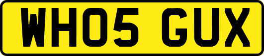 WH05GUX