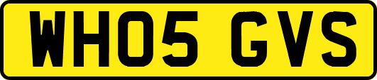WH05GVS
