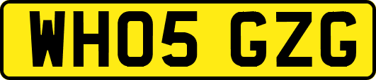 WH05GZG