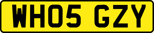 WH05GZY