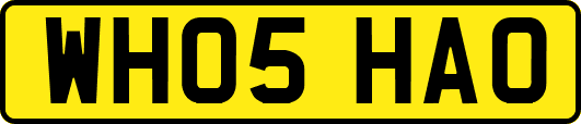 WH05HAO