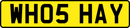 WH05HAY