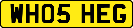 WH05HEG