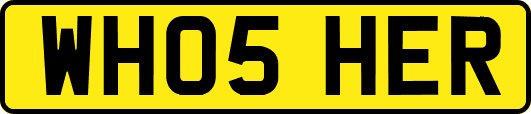 WH05HER