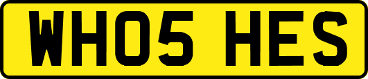 WH05HES