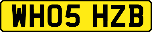 WH05HZB