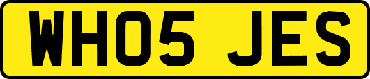WH05JES