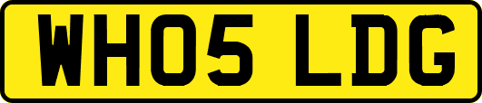WH05LDG