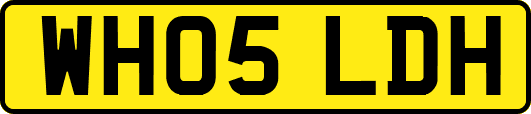 WH05LDH