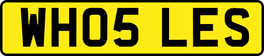 WH05LES