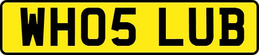 WH05LUB