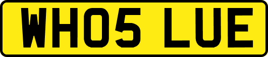 WH05LUE
