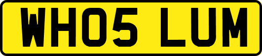 WH05LUM