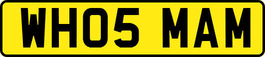 WH05MAM