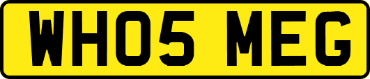 WH05MEG
