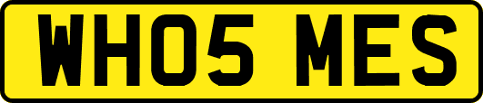 WH05MES