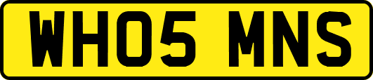 WH05MNS