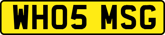 WH05MSG