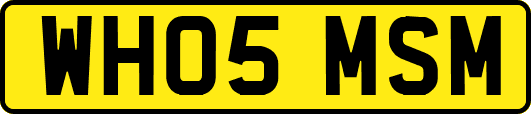 WH05MSM