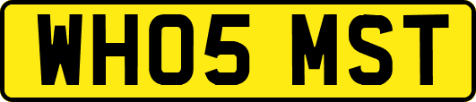WH05MST