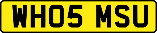 WH05MSU