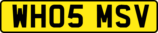 WH05MSV