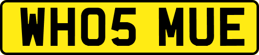 WH05MUE