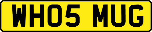 WH05MUG