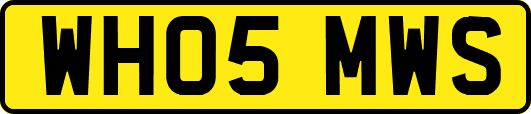 WH05MWS