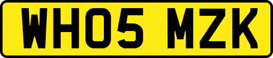 WH05MZK