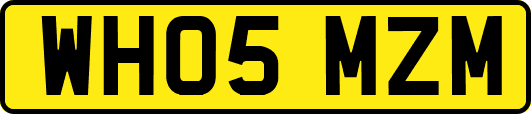 WH05MZM