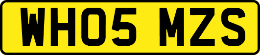 WH05MZS