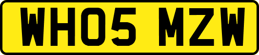 WH05MZW