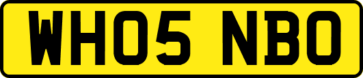 WH05NBO