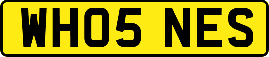 WH05NES