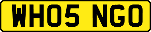 WH05NGO
