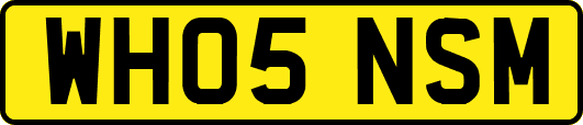WH05NSM
