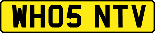 WH05NTV